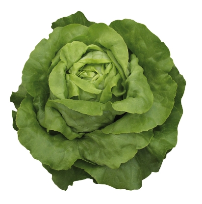 Picture of Lettuce Sylvesta Pills